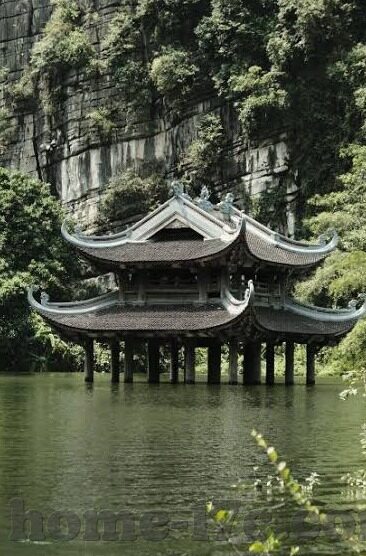 chinese av麻豆-麻辣中国范——网红AV麻豆的独特魅力与文化现象解析